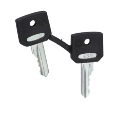 Set de 2 Chei 455