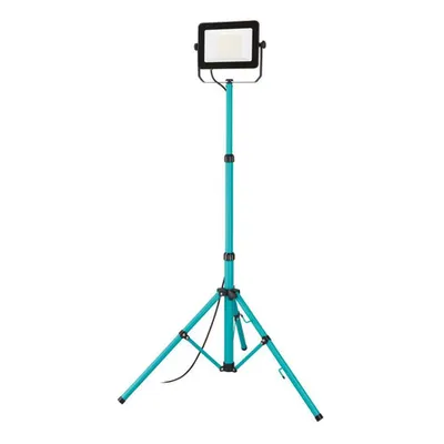 Proiector EGLO AVELAR 900539