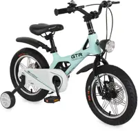Bicicletă pentru copii Byox - GTR, 14'', mentă
