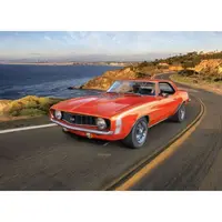 Model set '69 camaro ss