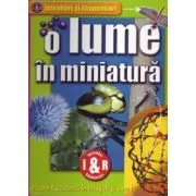 O lume in miniatura