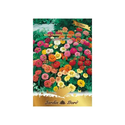 Set 3 x Seminte de Carciumarese, Zinnia Nana Thumbelina, Multicolor, 2 g