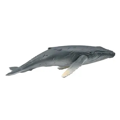 Figurina pictata manual Pui de Balena cu Cocoasa 88963