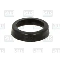 S-Tr Str-120531