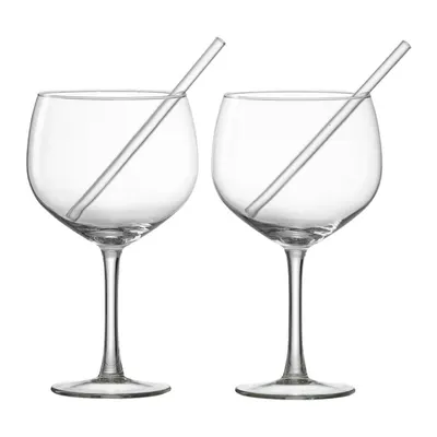 Set 2 pahare gin cu paie de sticla RITZENHOFF
