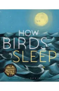 How Birds Sleep
