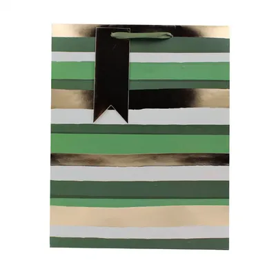 Punga de cadou hartie L Green stripe