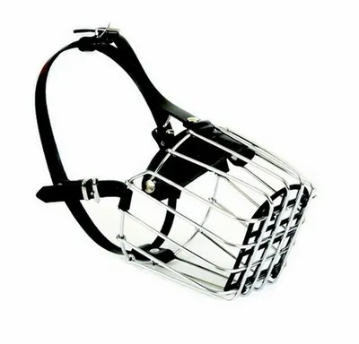 Dingo Botnita Metal Nr 1