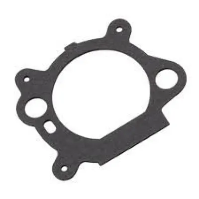 Garnitura Carburator Briggs-Stratton Quantum