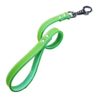 Lesa Pet Expert Clasic 1,8x60 cm Verde Nr.5