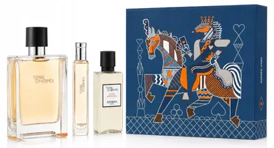 Hermes Terre d'Hermès Set - Apă de toaletă, 100 și 15 ml + Aftershave, 40 ml