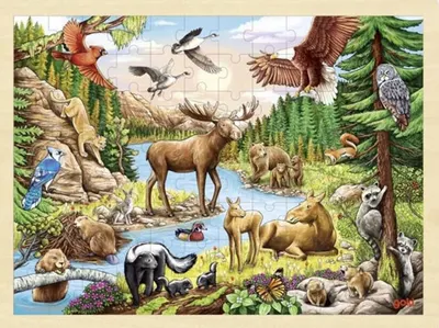 Puzzle din lemn Goki - Stepa nord-americana