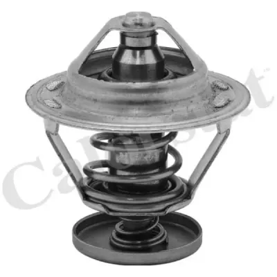 Termostat, lichid racire CALORSTAT by Vernet TH5079.82J