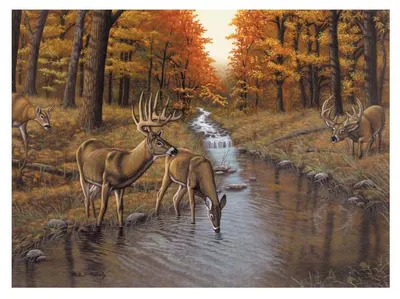 Set de pictură cu vopsele acrilice Royal - Cerbi, 39 x 30 cm