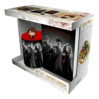 Set Cadou Harry Potter - Cana 320ml + Breloc + Notebook Harry Ron Hermione