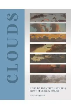 Clouds: How to Identify Nature's Most Fleeting Forms