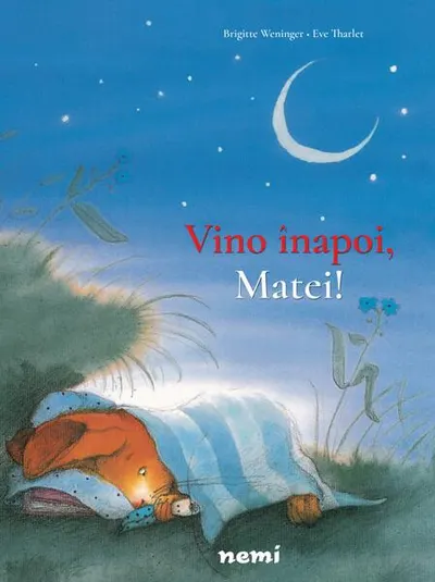 Vino înapoi, Matei! - Paperback - Brigitte Weninger