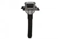 Bobina Inductie Potrivit Audi A3, A4 B5, A4 B6, A6 C4, A6 C5, A8 D2, Allroad C5, Tt; Seat Alhambra, Leon; Skoda Octavia I; Vw Bora, Bora I, Golf Iv, Passat B5, Sharan 1.8-4.2 03.94-12.10