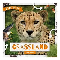 Grassland Food Webs