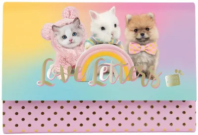 Studio Pets Set de scrisori - Scrisori de dragoste