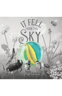 It Fell from the Sky