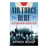 Air Force Blue