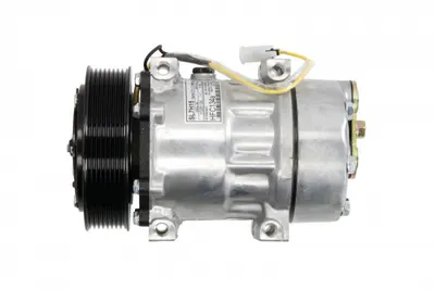 Compresor climatizare potrivit RVI MAGNUM 10.04