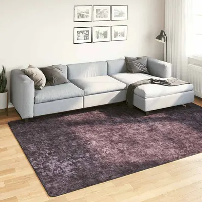 vidaXL Covor lavabil, antracit, 190x300 cm