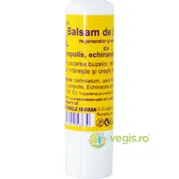Virginia Balsam pentru Buze cu Echinacea Bio 5ml