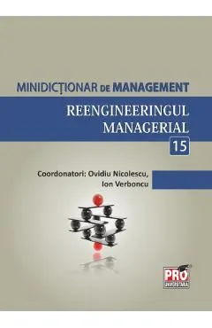 Minidictionar de management 15: Reengineeringul managerial