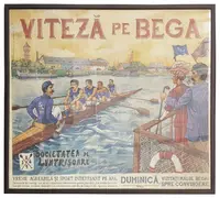 Tablou - Viteza pe Bega