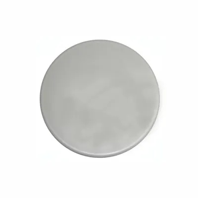Disc polish cu Velcro (arici) netezire pentru Nautilo, Skate (PFM WT) ROKAMAT Ø 350