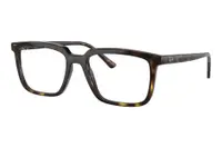 Ray-Ban Alain RX7239 2012