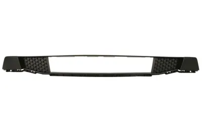 Grila bara Fata Mijloc potrivit FORD RANGER 04.11