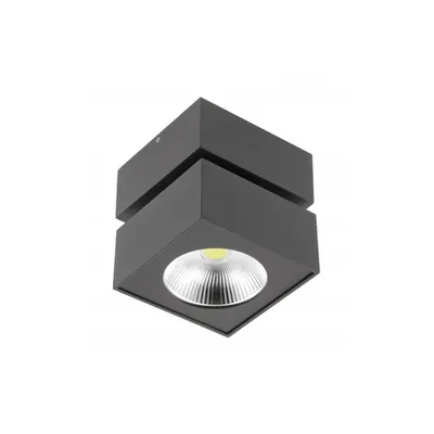 Spot - Fixture LED BIANCO , 15W, 1500lm, AC220-240V, 50/60 Hz, PF> 0.5, Ra≥80, IP20, IK06.36 degrees, 4000K, square, black