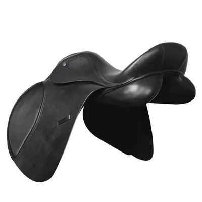 Câștigător Saddle VS START