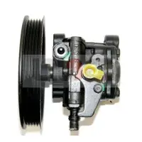 Pompa hidraulica, sistem de directie LAUBER 55.0255