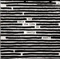 Is This The Life We Really Want? - Vinyl