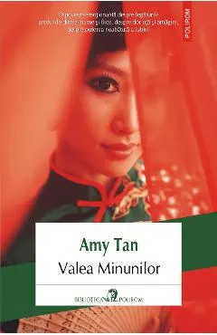 eBook Valea Minunilor