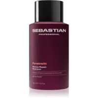 Sebastian Professional Penetraitt șampon pentru par degradat sau tratat chimic