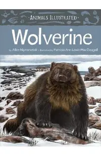 Animals Illustrated: Wolverine