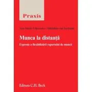 Munca la distanta. Expresie a flexibilizarii raportului de munca