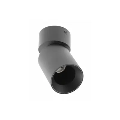 Spot - Ceiling luminaire FARGO 2, aluminum, 70x166mm, IP20, max 20W, round, black