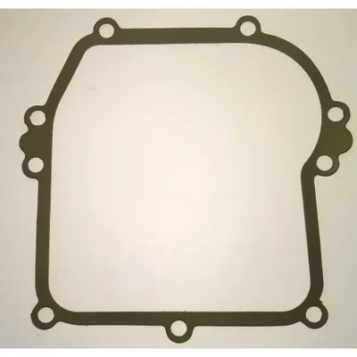 Garnitura Carter Briggs&stratton Seria 450 500 550 Ohv