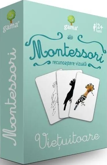 Montessori. Recunoastere vizuala