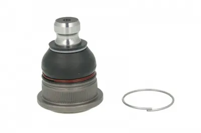 Pivot axa Dreapta Stanga (inferior fata) (diametru con 18mm) potrivit DACIA LOGAN, LOGAN EXPRESS, LOGAN MCV, SANDERO, SANDERO II; LADA LARGUS; RENAULT CAPTUR I, CLIO III 0.9-Electric 09.02