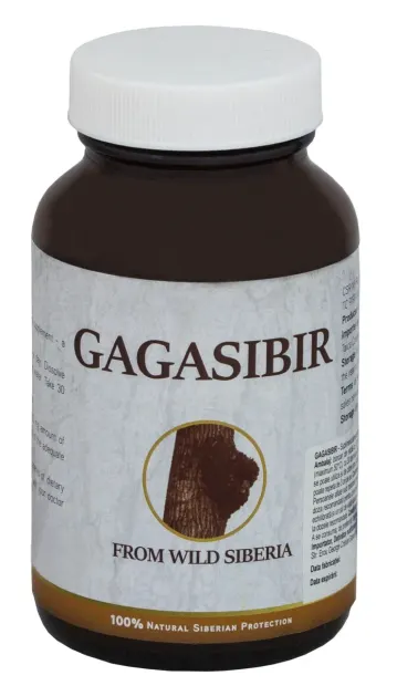 Gagasibir, Chaga din Siberia, 13g