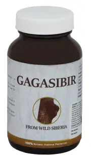 Gagasibir, Chaga din Siberia, 13g