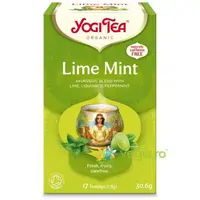 Ceai cu Lamaie Verde si Menta Ecologic/Bio 17dz