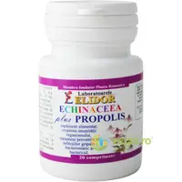 Echinaceea + Propolis pentru Imunitate 20cpr